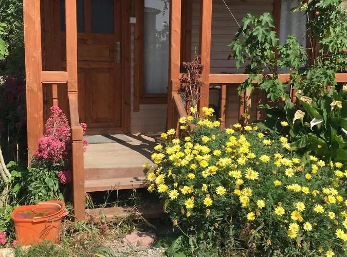 Gulseven וילה דלמן